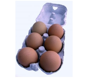 eggs